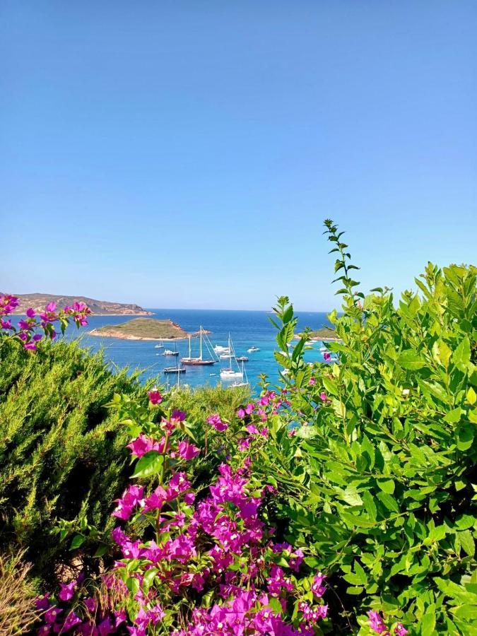 San Teodoro Punta Est Stupendo Trilocale Vista Mare Appartement Capo Coda Cavallo Buitenkant foto